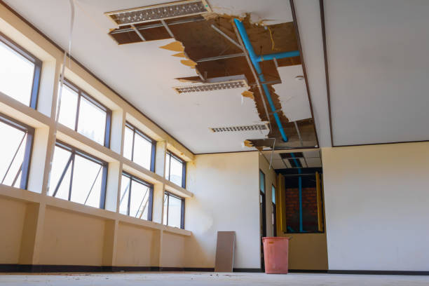 Best Water damage contractors near me  in Spring Ridge, MD