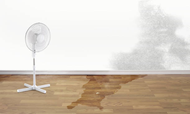 Best Ceiling water damage repair  in Spring Ridge, MD