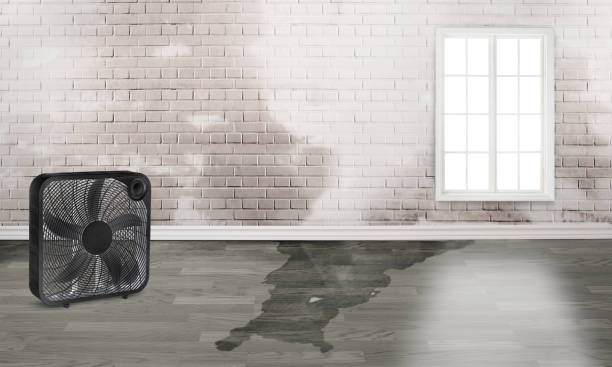 Best Water damage restoration near me  in Spring Ridge, MD